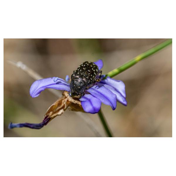 PHOTO84, CLUB, 84 , LUBERON